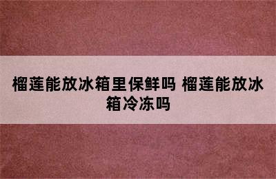 榴莲能放冰箱里保鲜吗 榴莲能放冰箱冷冻吗